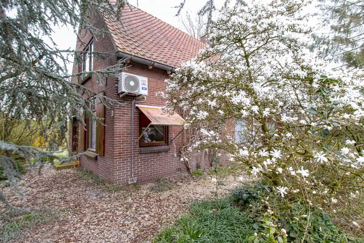 Foto 38 van Molenstraat 1