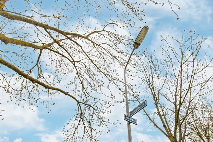 Foto 51 van Molenstraat 1