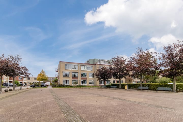 Foto 2 van Fluitekruid 48