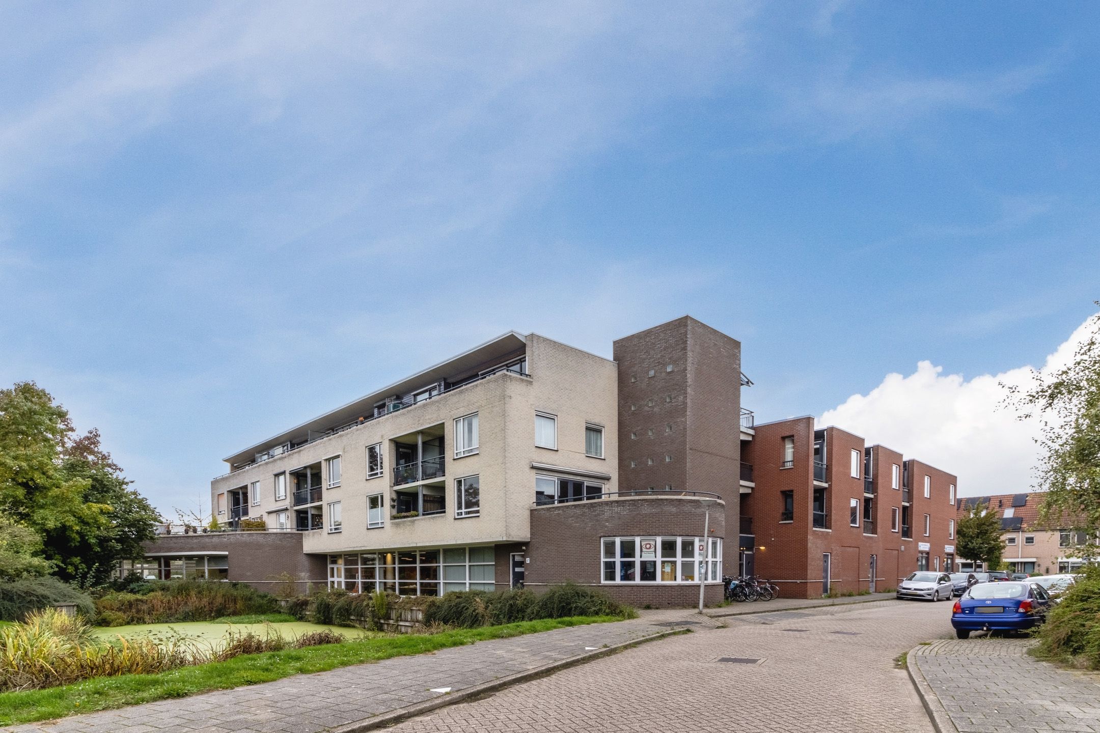 Foto 3 van Fluitekruid 48