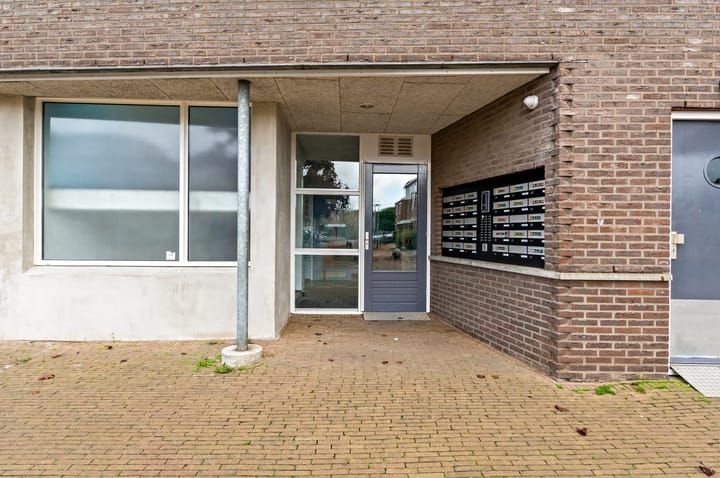 Foto 5 van Fluitekruid 48