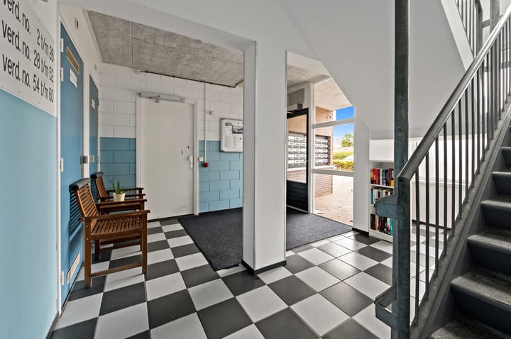 Foto 6 van Fluitekruid 48