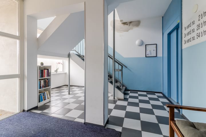 Foto 7 van Fluitekruid 48