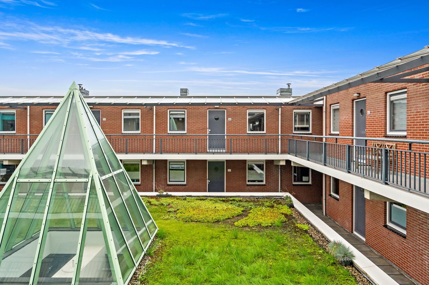 Foto 10 van Fluitekruid 48