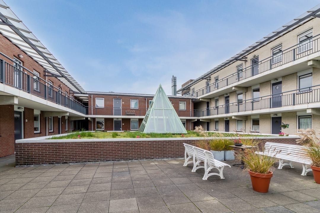 Foto 11 van Fluitekruid 48