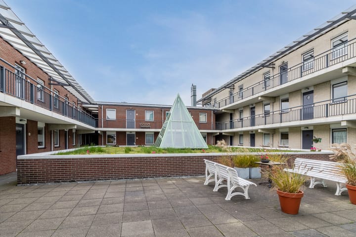 Foto 11 van Fluitekruid 48