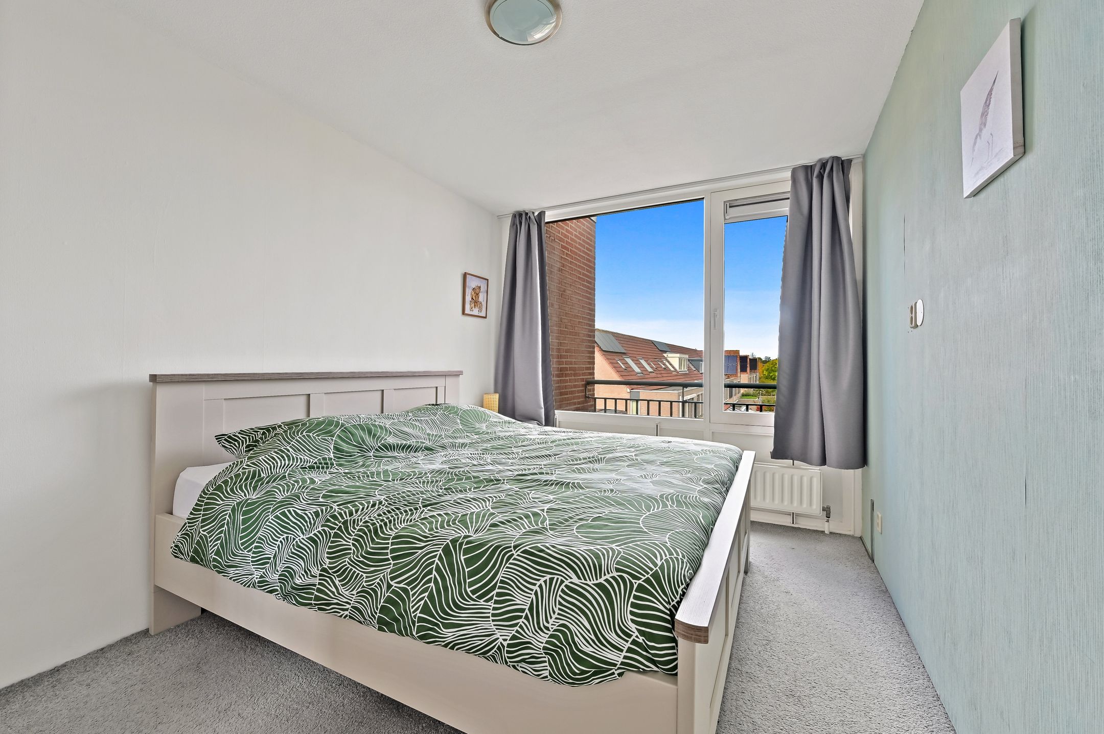 Foto 18 van Fluitekruid 48