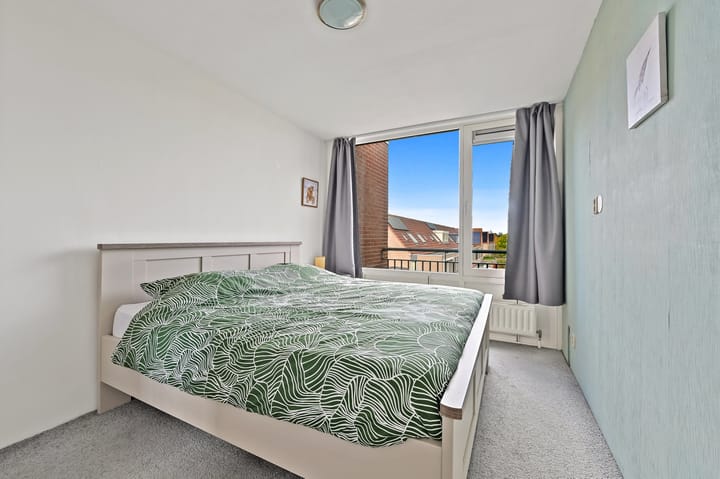 Foto 18 van Fluitekruid 48