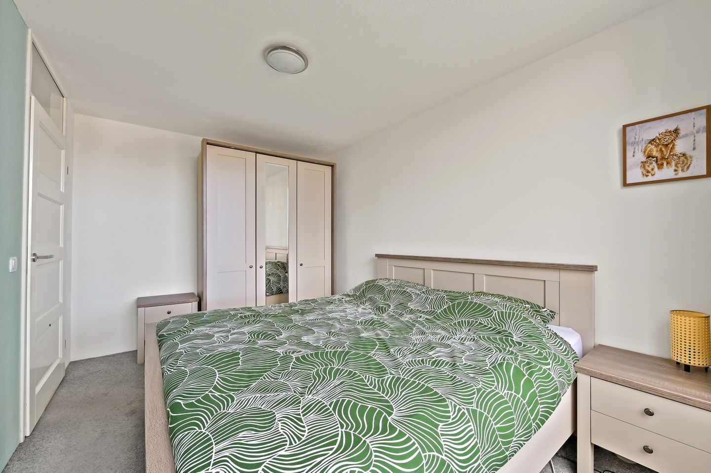 Foto 19 van Fluitekruid 48