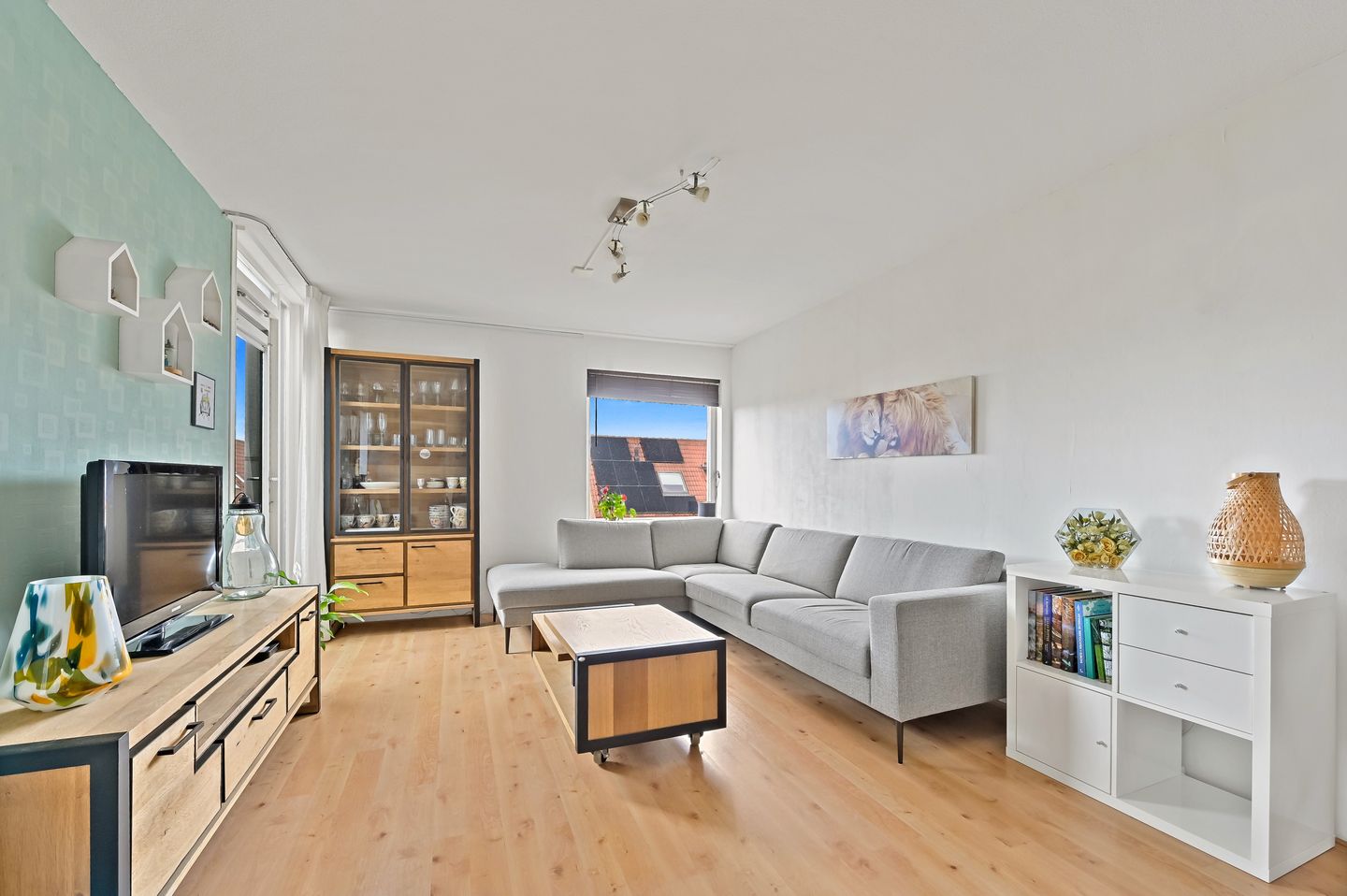 Foto 20 van Fluitekruid 48