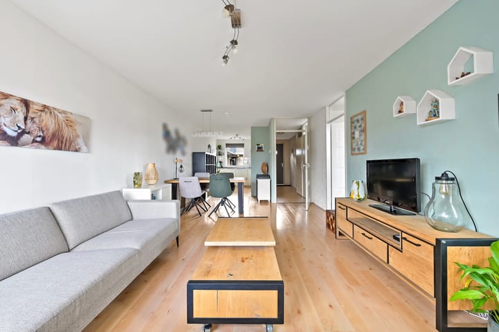 Foto 24 van Fluitekruid 48