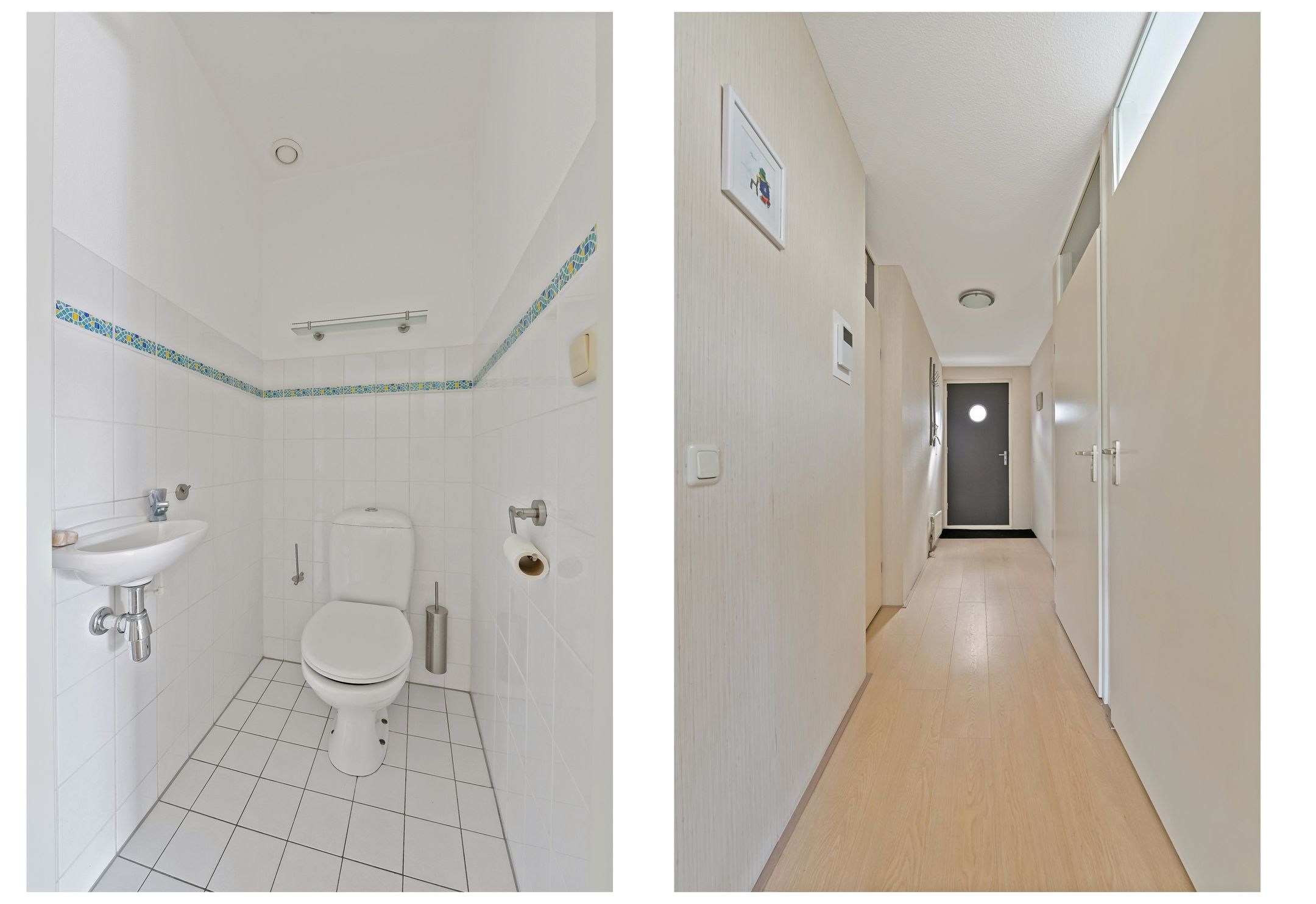 Foto 12 van Fluitekruid 48