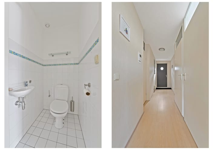 Foto 12 van Fluitekruid 48