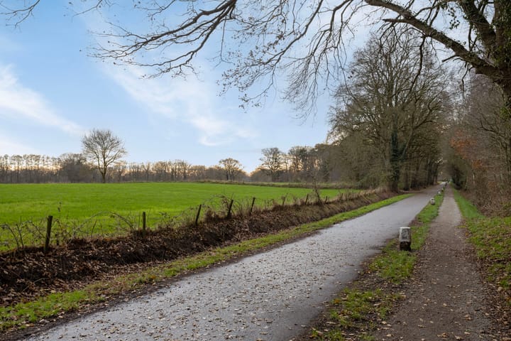 Foto 44 van Welpelohoek 10