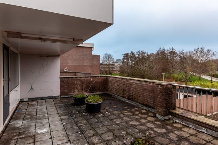 Photo 19 of Botter 29 54