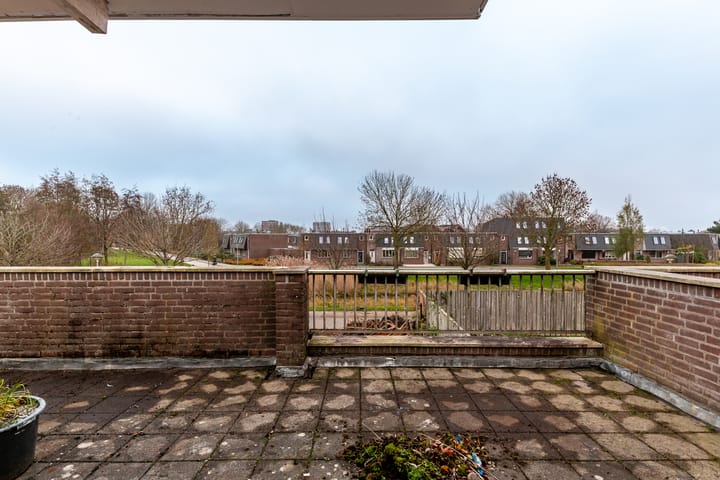 Photo 20 of Botter 29 54