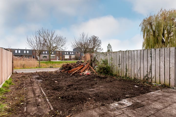 Photo 21 of Botter 29 54