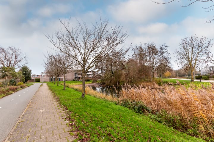 Photo 23 of Botter 29 54