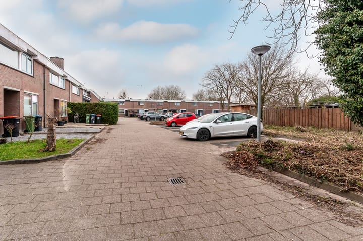 Photo 26 of Botter 29 54