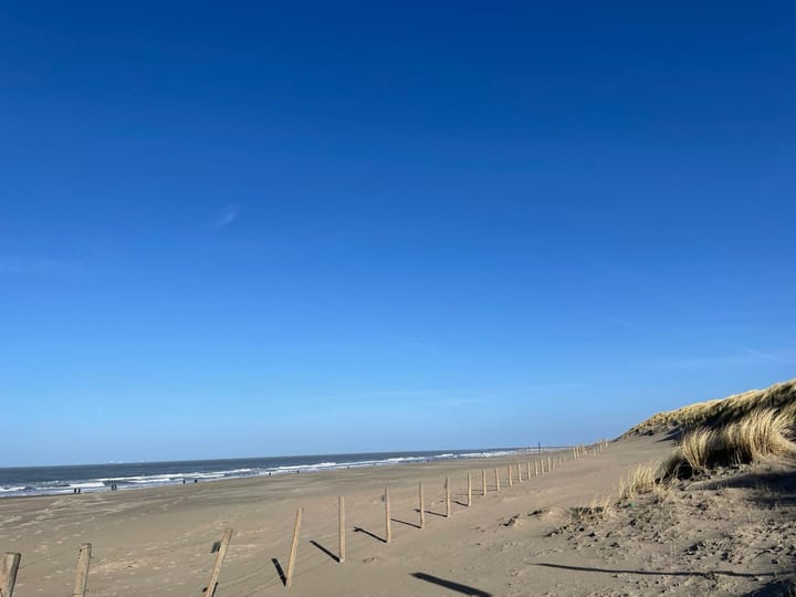 Foto 52 van Groen van Prinstererlaan 95