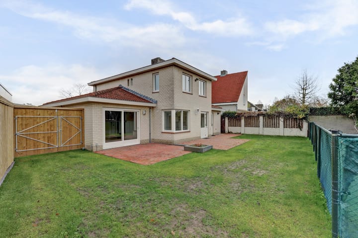 Foto 28 van Korenbloem 7