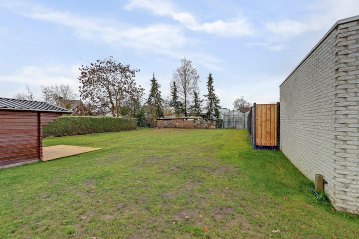 Foto 30 van Korenbloem 7