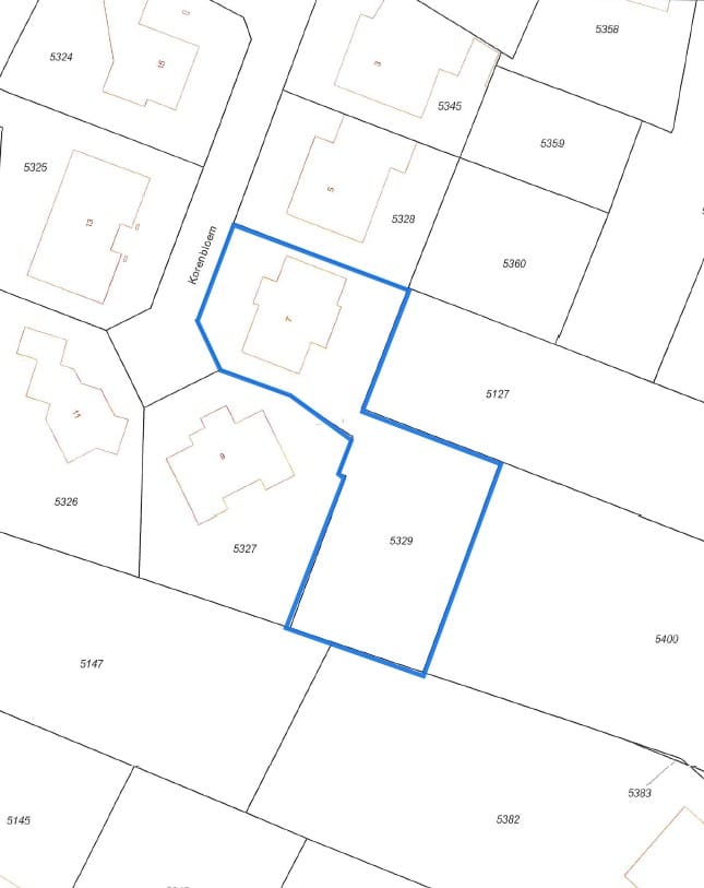 Foto 53 van Korenbloem 7