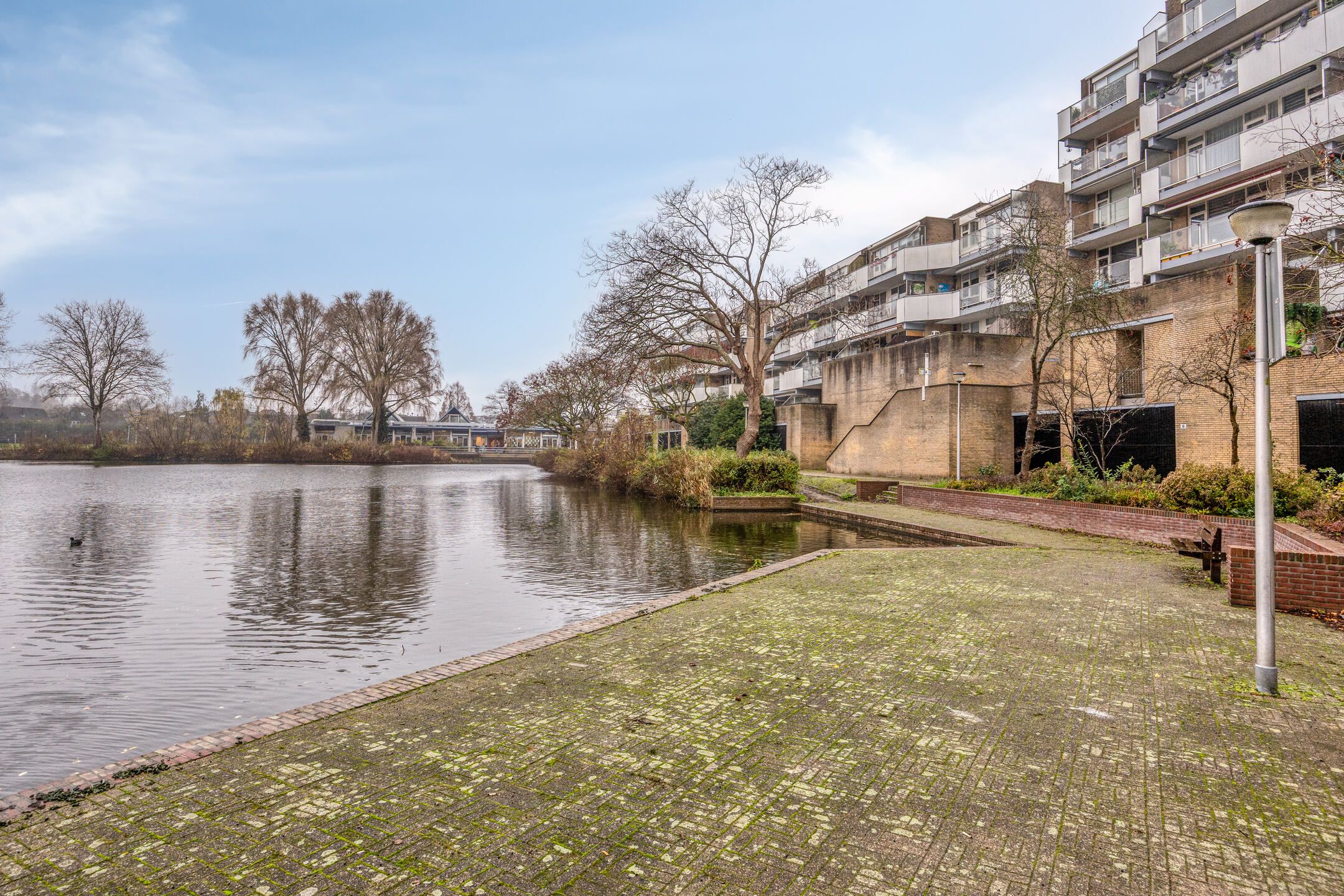 Foto 15 van Henry Moorepassage 46