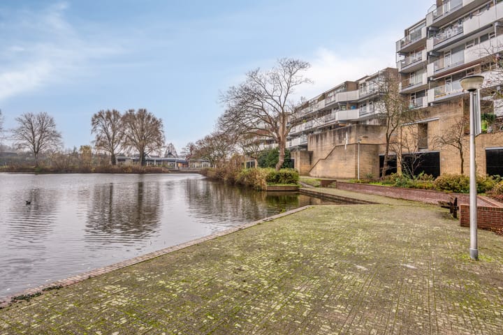 Foto 15 van Henry Moorepassage 46