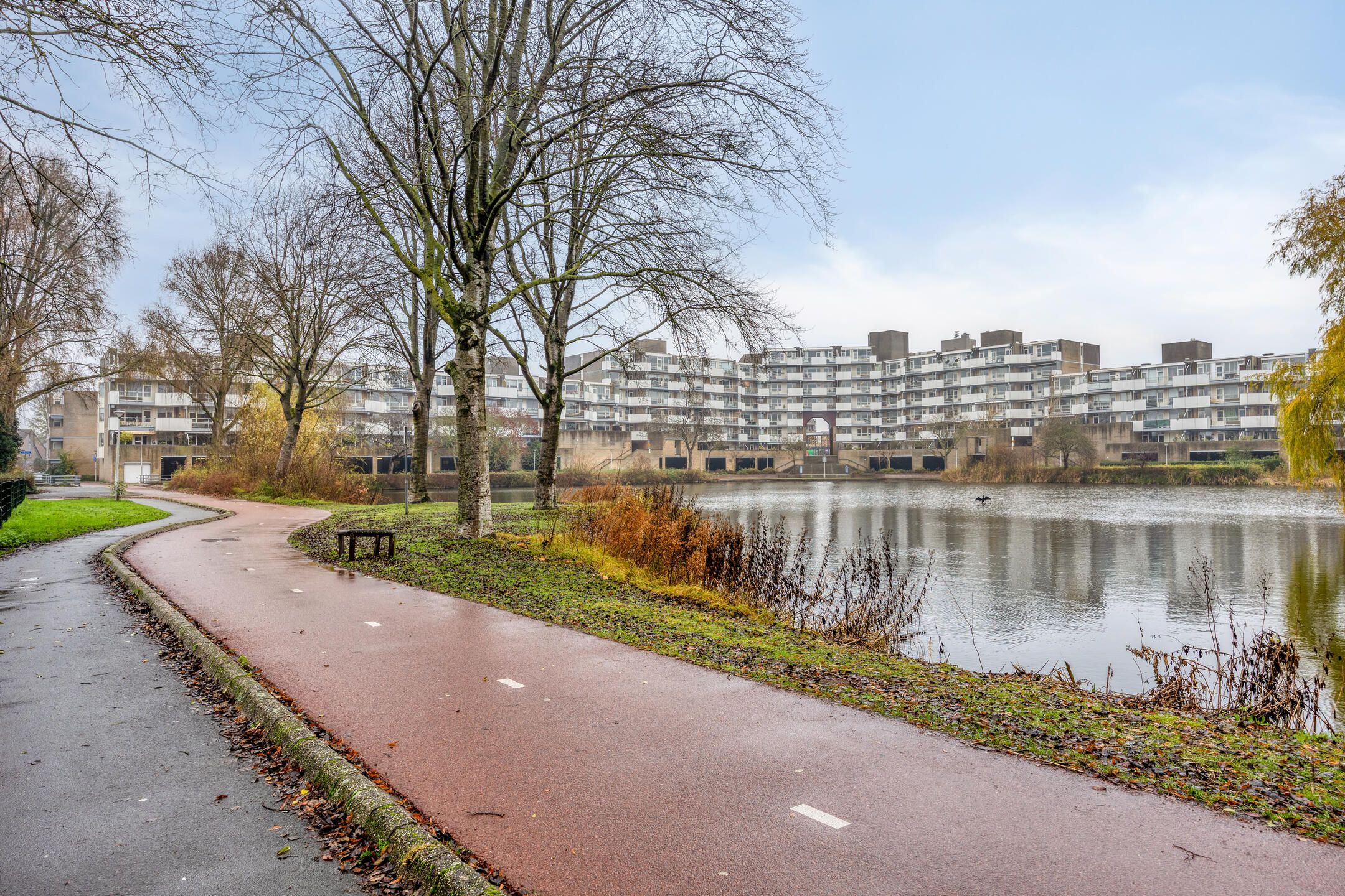 Foto 33 van Henry Moorepassage 46