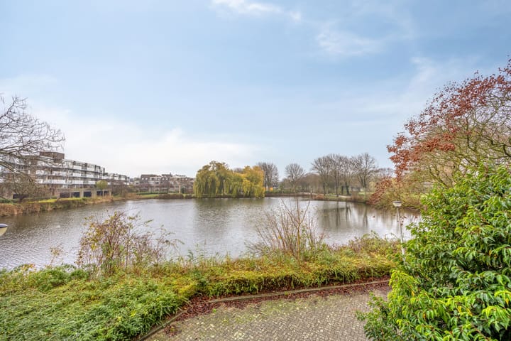 Foto 34 van Henry Moorepassage 46