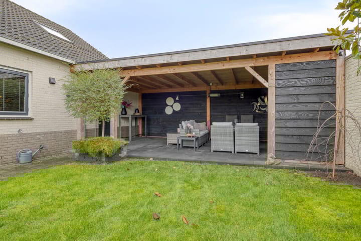 Photo 5 of Anemoon 39