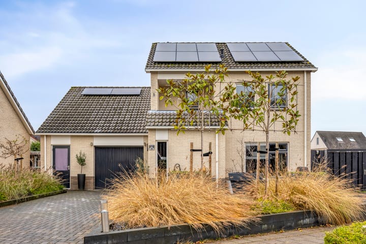 Photo 6 of Anemoon 39