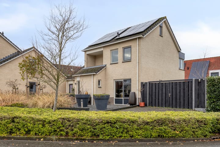 Photo 7 of Anemoon 39