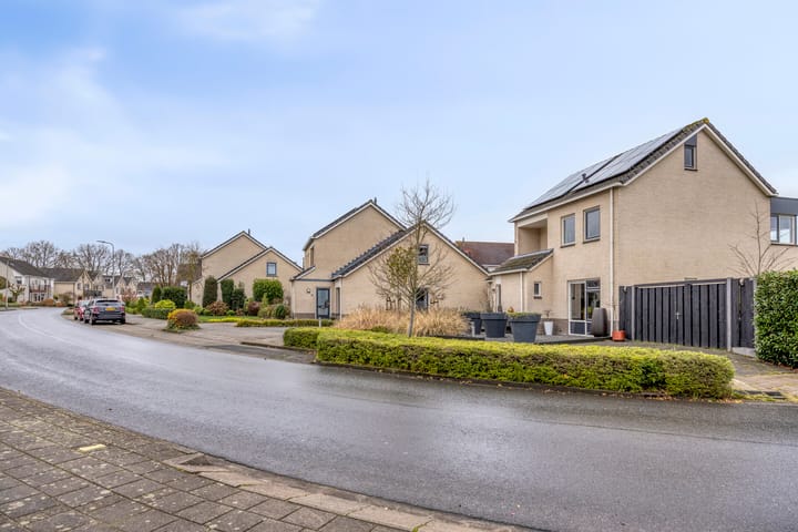 Photo 8 of Anemoon 39