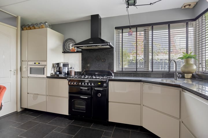 Photo 19 of Anemoon 39