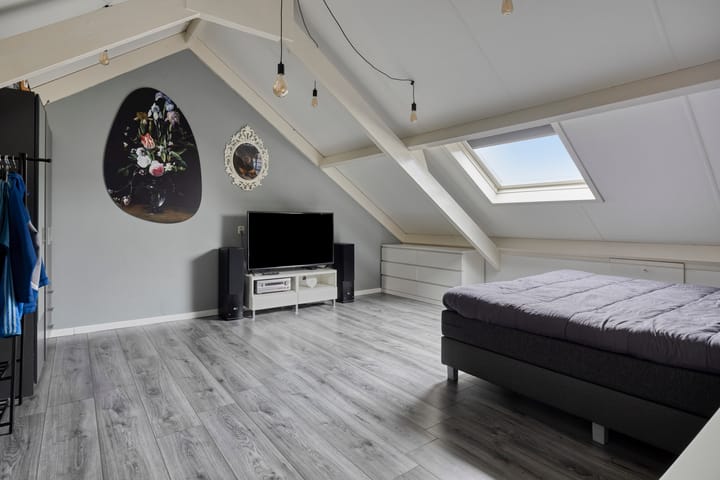 Photo 24 of Anemoon 39