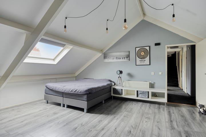 Photo 26 of Anemoon 39