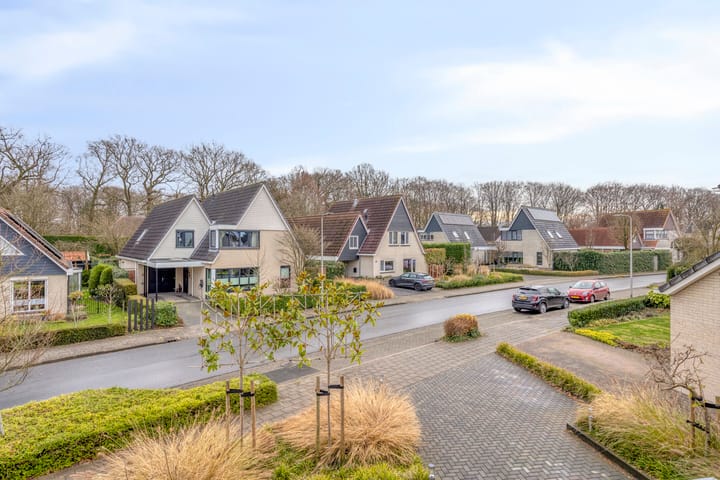 Photo 31 of Anemoon 39