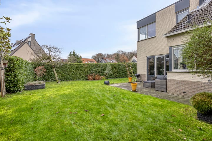 Photo 37 of Anemoon 39