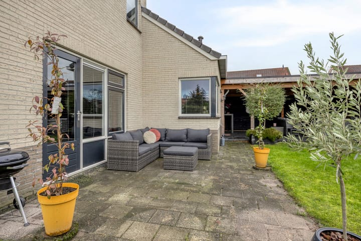 Photo 38 of Anemoon 39