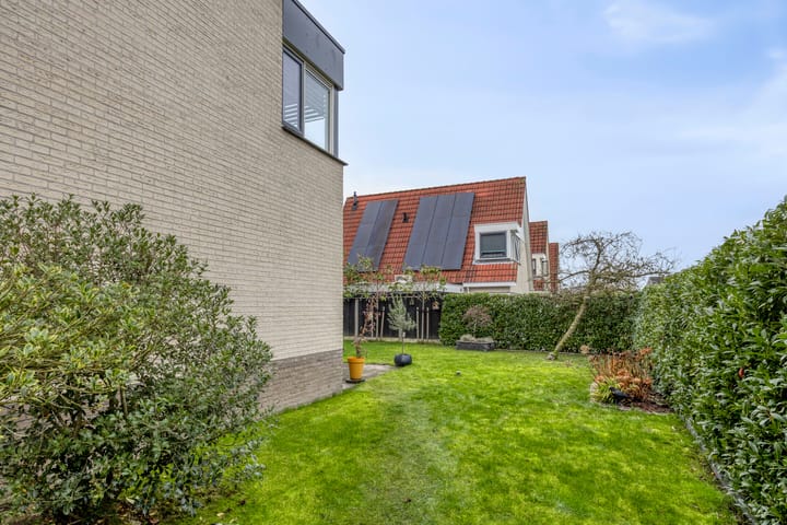 Photo 39 of Anemoon 39