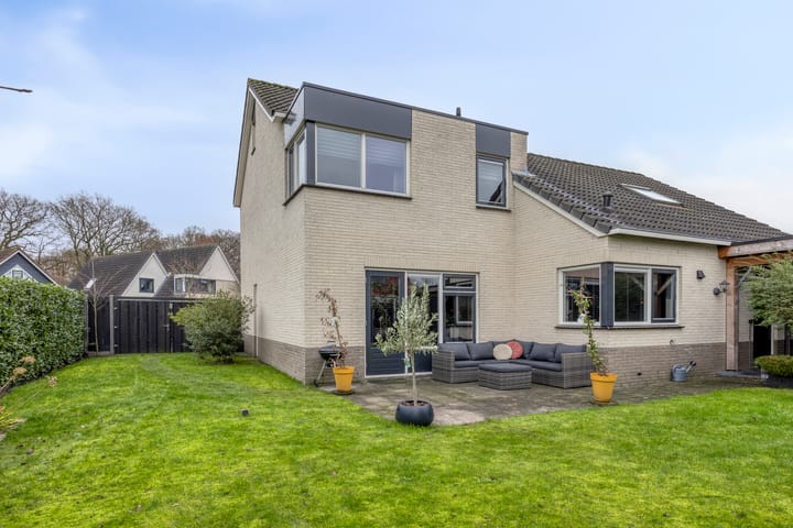 Photo 40 of Anemoon 39