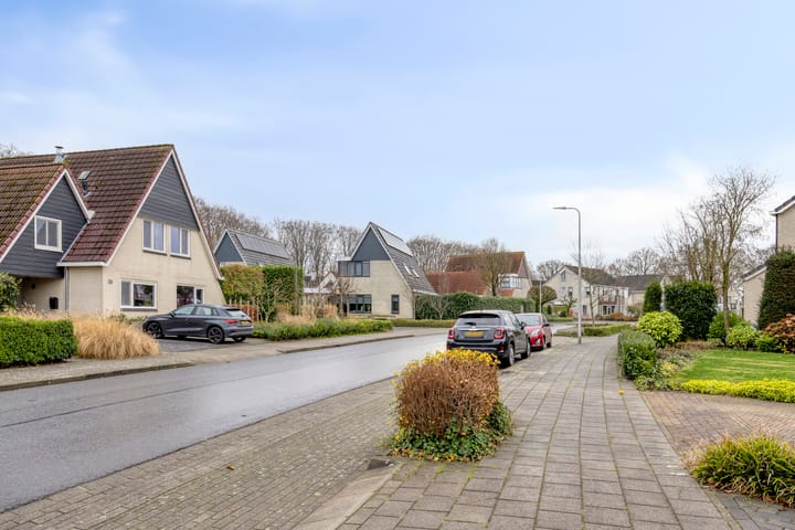 Photo 41 of Anemoon 39