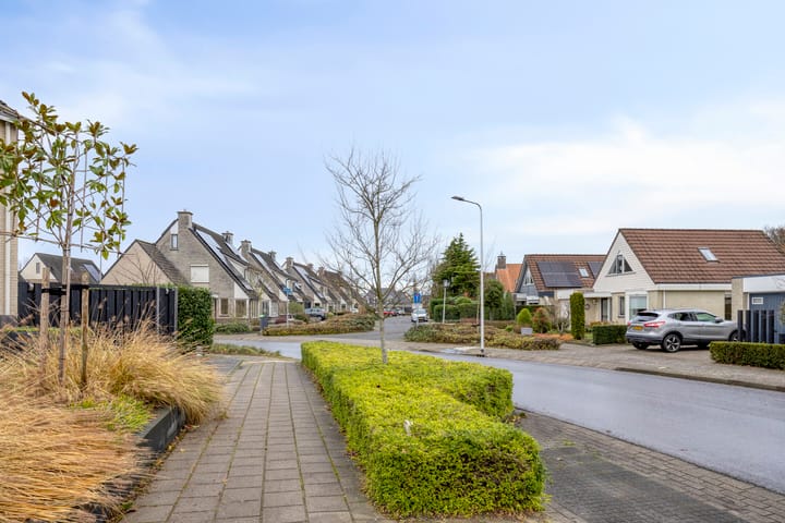 Photo 42 of Anemoon 39