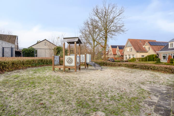 Photo 43 of Anemoon 39