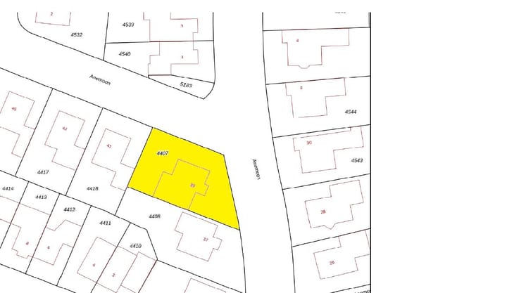 Photo 47 of Anemoon 39