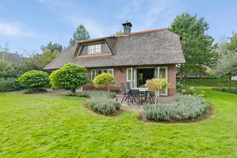 Gruun 7 secondary image