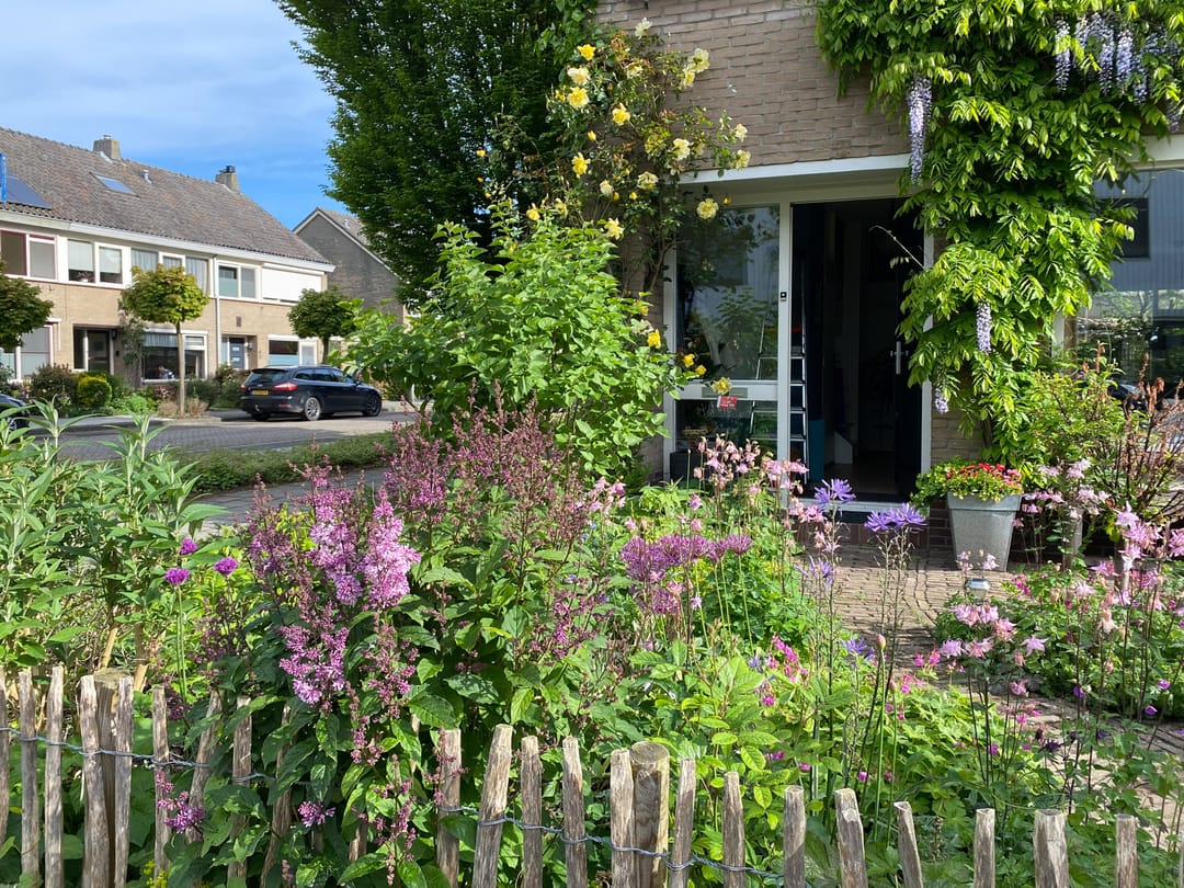 Foto 32 van de Werven 37