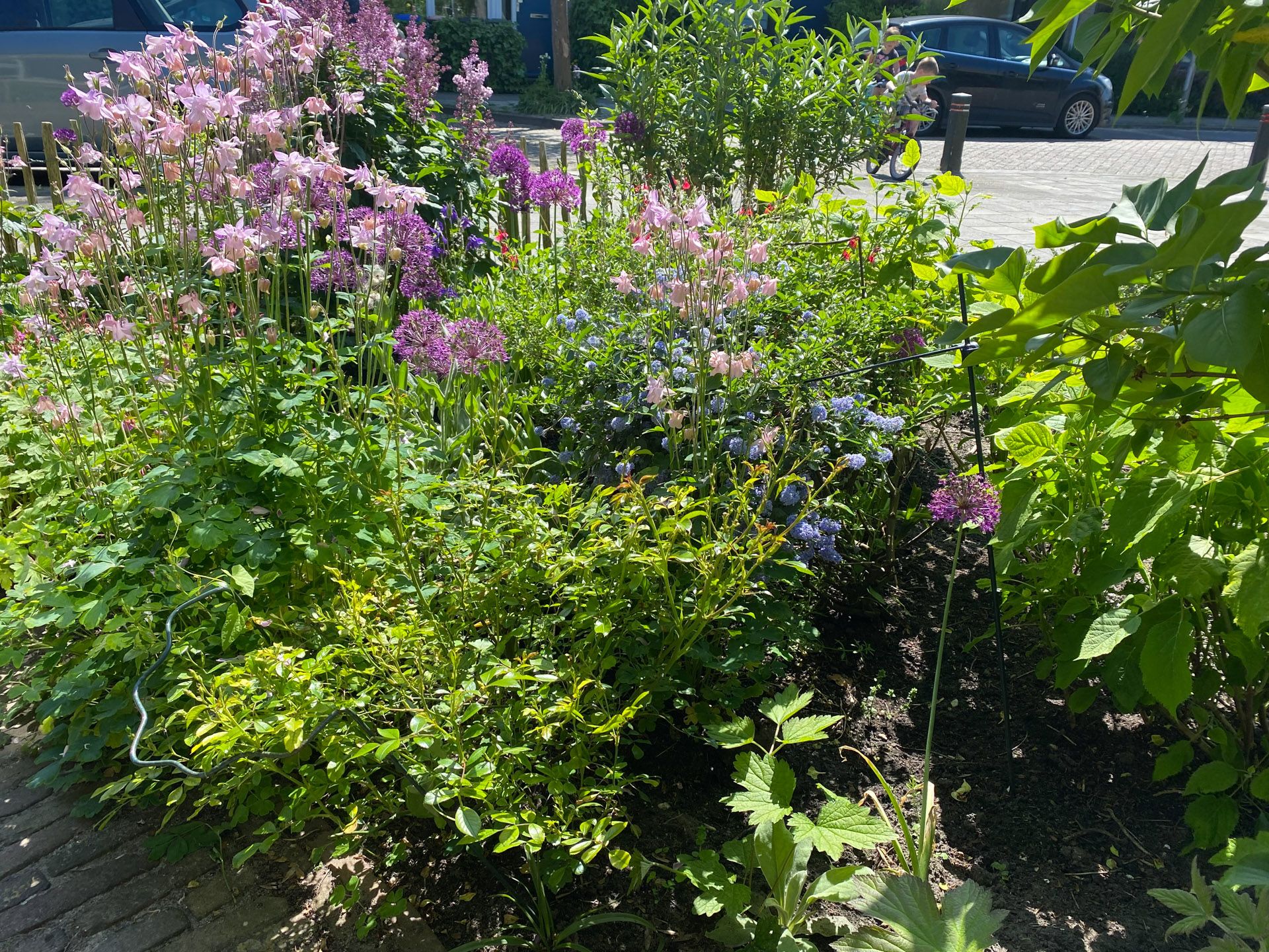 Foto 33 van de Werven 37